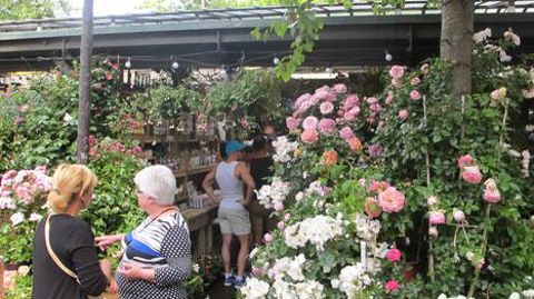 Les quantités de végétaux vendues au premier semestre ont reculé de 10 % en volume et 3,6 % en valeur par rapport à l'année passée, selon le panel de consommation révélé récemment par FranceAgriMer. ©Pascal Fayolle Les quantités de végétaux vendues au premier semestre ont reculé de 10 % en volume et 3,6 % en valeur par rapport à l'année passée, selon le panel de consommation révélé récemment par FranceAgriMer. ©Pascal Fayolle