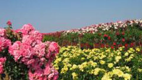 ©Jean-François Corbin, chambre d'agriculture du Maine-et-loire 