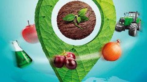 Affiche sival Affiche sival