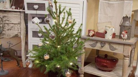 MyLittleSapin apporte une réponse aux citadins vivant en appartement, qui n'achetaient pas de sapin par manque de place, de temps et de budget. La première édition pour Noël 2013 a remporté un franc succès avec plus de 1 000 petits sujets vendus en moins de trois semaines.  ©MyLittleSapin MyLittleSapin apporte une réponse aux citadins vivant en appartement, qui n'achetaient pas de sapin par manque de place, de temps et de budget. La première édition pour Noël 2013 a remporté un franc succès avec