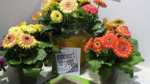 Retenues officiellement ou non pour le concours INNOVERT®, les nouveautés des exposants peuvent être annoncées en avant-première. ©Odile Maillard Retenues officiellement ou non pour le concours INNOVERT®, les nouveautés des exposants peuvent être annoncées en avant-première. ©Odile Maillard