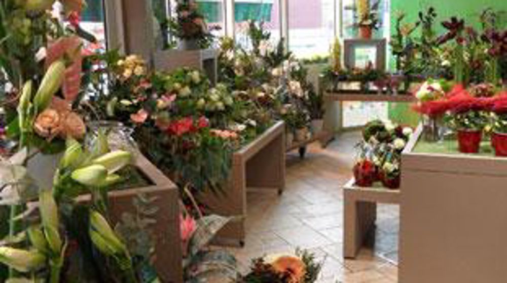 À Bidart (64), un magasin du groupe Flora Nova sous enseigne Le Jardin des Fleurs : il sera désormais géré et animé par Flora New. ©Flora Nova. À Bidart (64), un magasin du groupe Flora Nova sous enseigne Le Jardin des Fleurs : il sera désormais géré et animé par Flora New. ©Flora Nova. À Bidart (64), un magasin du groupe Flora Nova sous enseigne Le Jardin des Fleurs : il sera désormais géré et animé par Flora New. ©Flora Nova. À Bidart (64), un magasin du groupe Flora Nova sous enseigne Le Jardin des Fleurs : il sera désormais géré et animé par Flora New. ©Flora Nova.