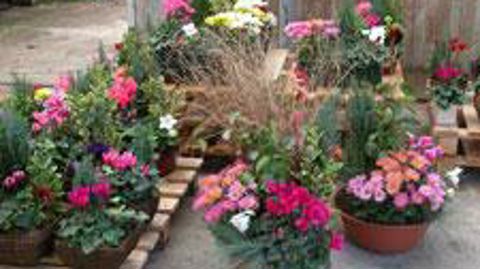 ©Odile Maillard  ©Odile Maillard