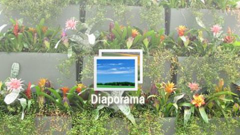 01. Plusieurs murs végétalisés, présentés dans la Villa Flora (aire Green Engine), servent de support aux plantes d‘intérieur.