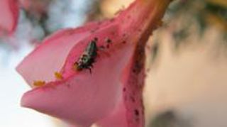 ©VALÉRIE VIDRIL  ©VALÉRIE VIDRIL