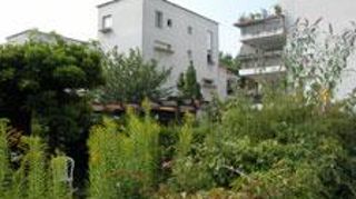 ©Pascal Fayolle  ©Pascal Fayolle