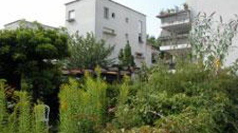 ©Pascal Fayolle  ©Pascal Fayolle