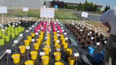 ©Odile Maillard  ©Odile Maillard