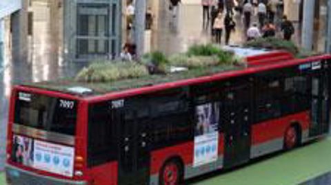 ©Marie-Françoise Petitjean 