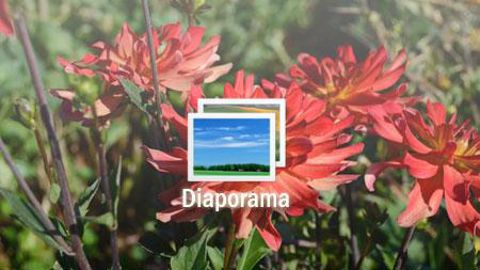 ©Excellence Végétale 