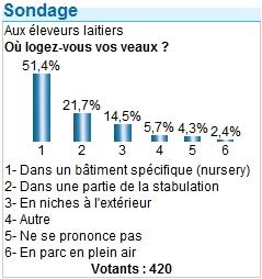 logement des veaux nursery niches stabulation
