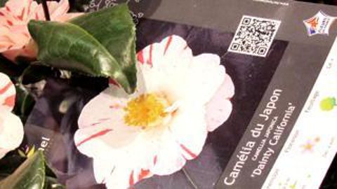 Le made in France et le label associé devraient faire partie des gagnants du manque de disponibilité de certaines gammes sur le marché. P. FAYOLLE