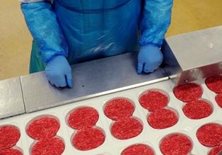 Bientôt des steaks hachés constitués de cellules souches de viande bovine ?