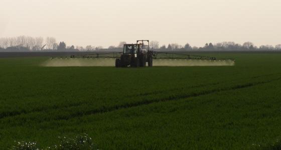 Les températures fraîches ont limité la pression maladies mais les contaminations sont bien présentes et le retour de températures douces devrait signifier le déclenchement des premiers traitements.