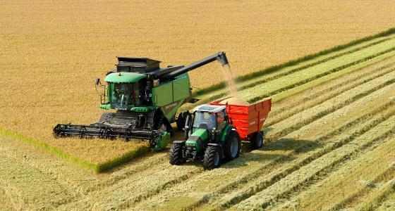 La production mondiale de blé a été revue à la baisse par l'Usda