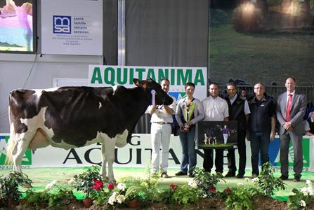 Vahine (Merchant) à l'Earl Laporte (Hautes-Pyrénées), en 6ème lactation, Championne & Meilleure mamelle Adulte et Grande championne Aquitanima 2012. 