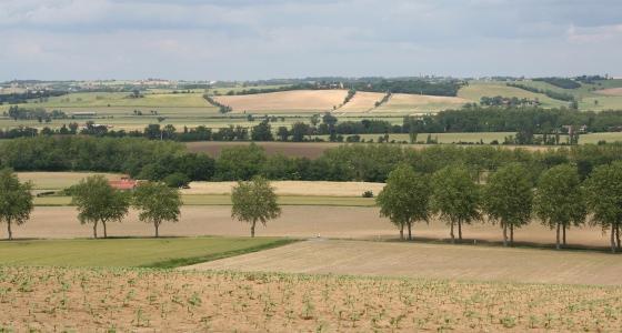 L'agrotourisme permet aux agriculteurs de diversifier leurs sources de revenus