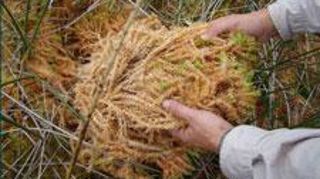 ©photo Chiloe ©photo Chiloe