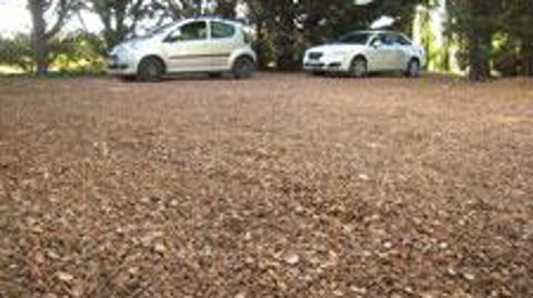  les noyaux de pêche d'Aquaterra Solutions peuvent être utilisés pour gravilloner une allée, mais aussi en paillage.  