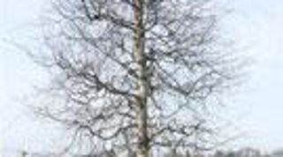 ©GrootGroenPlus ©GrootGroenPlus
