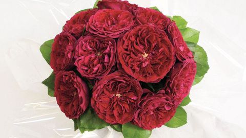 ©D. Austin ©D. Austin