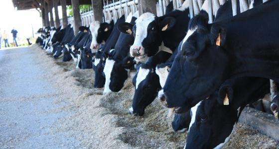 Le prix du lait reste stable sur avril 2012