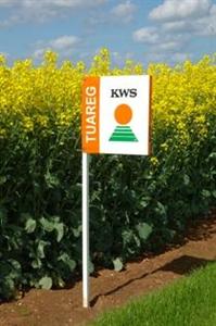 Kws attend d'autres nouveautés hybrides pour le mois de juillet.