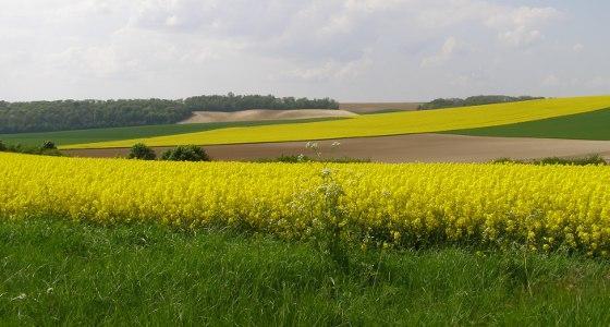 Une mise en application de la réforme de la Pac au 1er janvier 2014 semblent de plus en plus improbable