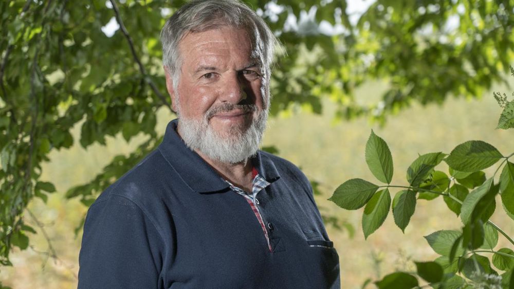 Selon André Fougeroux, de l’Académie d’agriculture de France, on attribue à tort à l’agriculture l’entière responsabilité de la diminution des insectes. © Guillaume Collanges