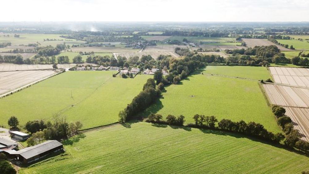 La valeur produite par l’élevage a augmenté de 3,6 % en 2019 dans l’Union européenne. © Cédric Faimali/GFA