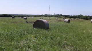 Au 20 octobre 2022, la pousse d'herbe est déficitaire de 29 % par rapport à la moyenne de référence, note Agreste. Au 20 octobre 2022, la pousse d'herbe est déficitaire de 29 % par rapport à la moyenne de référence, note Agreste.