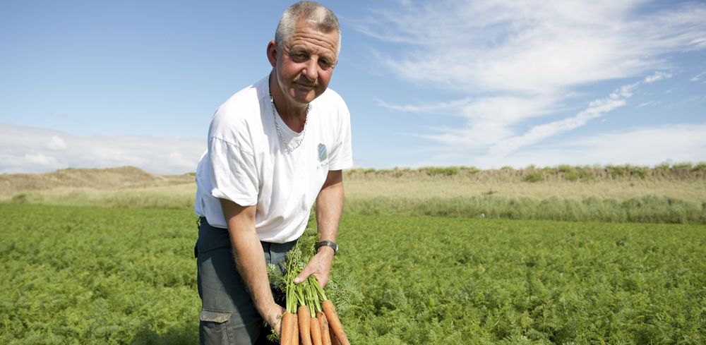 « Les rotations, la biofumigation avec des couverts de sorgho, des carottes assainissantes, des biostimulants et des outils de biocontrôle, nous ont apporté des briques de solutions », explique Philippe Jean, producteur sur 42 ha à Créances.