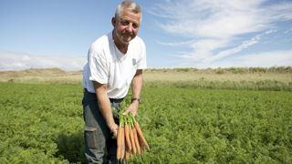 « Les rotations, la biofumigation avec des couverts de sorgho, des carottes assainissantes, des biostimulants et des outils de biocontrôle, nous ont apporté des briques de solutions », explique Philippe Jean, producteur sur 42 ha à Créances. « Les rotations, la biofumigation avec des couverts de sorgho, des carottes assainissantes, des biostimulants et des outils de biocontrôle, nous ont apporté des briques de solutions », explique Philippe Jean, producteur sur 42 ha à Créances.
