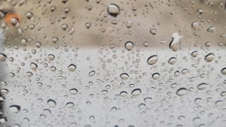 La pluie, le vent et la fraicheur sont de retour après un mois d'octobre particulièrement chaud. La pluie, le vent et la fraicheur sont de retour après un mois d'octobre particulièrement chaud.