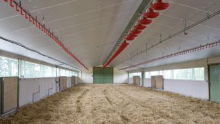 Chez les éleveurs de poulets, au moins une désinfection du batiment est réalisée entre chaque lot. Chez les éleveurs de poulets, au moins une désinfection du batiment est réalisée entre chaque lot.
