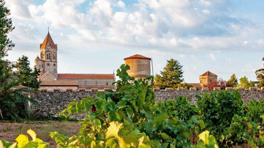 La vingtaine de moines présents sur l’île résident au sein de l’abbaye de Lérins, reconstruite en 1880. Les vignes entourent l’enceinte. © A. Valois 