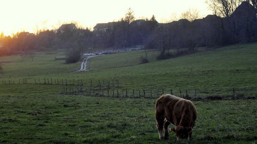 Photo d’illustration. © C. Faimali/GFA