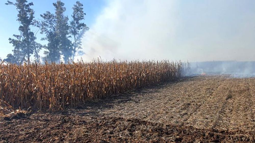 La grande majorité des incendies qui touchent les espaces naturels et les terres agricoles sont d’origine anthropique. © Confédérations rurales, Argentine