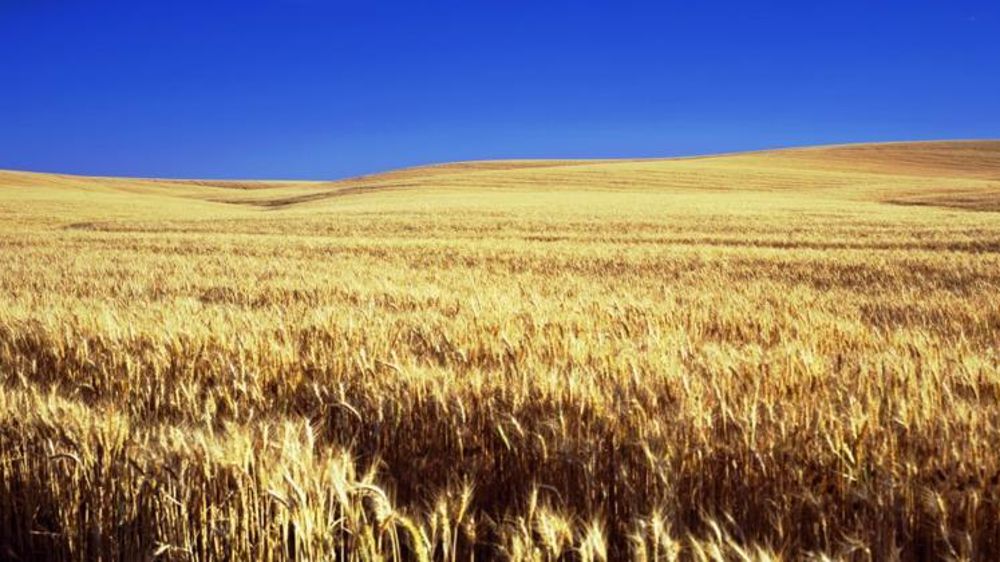 Une exploitation dans le Kansas. © Pxhere