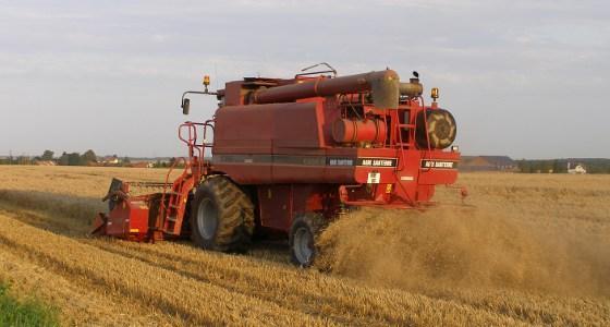 Parmi les huit exportateurs mondiaux de blé, la France est une valeur sûre. Elle est le seul pays à pouvoir produire quasimement la même quantité de blé chaque année.