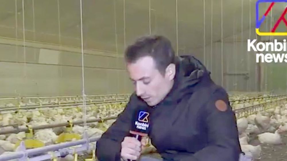 « Là, il y en a un qui est en train d’agoniser » : la vidéo choc de Konbini, aux côtés de DxE, pour dénoncer les conditions d’élevage dans une exploitation bretonne de poulets de chair. © DR