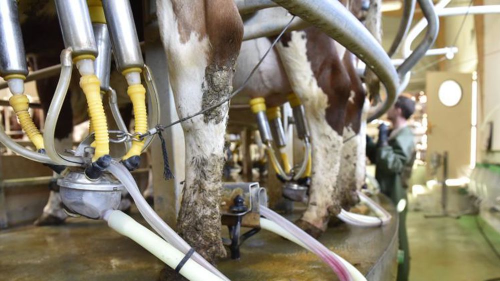 © Cédric Faimali/GFA