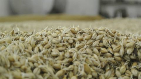 A cause de la hausse des prix de l'énergie, le secteur du malt craint des pertes massives de marchés liées à une baisse de sa compétitivité à l'international. A cause de la hausse des prix de l'énergie, le secteur du malt craint des pertes massives de marchés liées à une baisse de sa compétitivité à l'international.