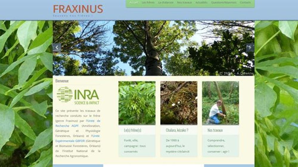 Page d’accueil du site www.fraxinus.fr