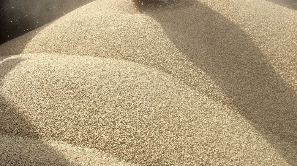 Étant majoritairement consommé en alimentation humaine, le blé est une céréale fortement sensible aux variations de prix.