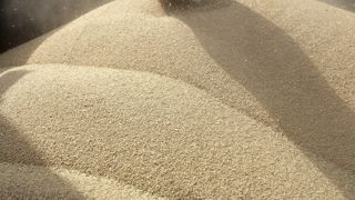 Étant majoritairement consommé en alimentation humaine, le blé est une céréale fortement sensible aux variations de prix. Étant majoritairement consommé en alimentation humaine, le blé est une céréale fortement sensible aux variations de prix.