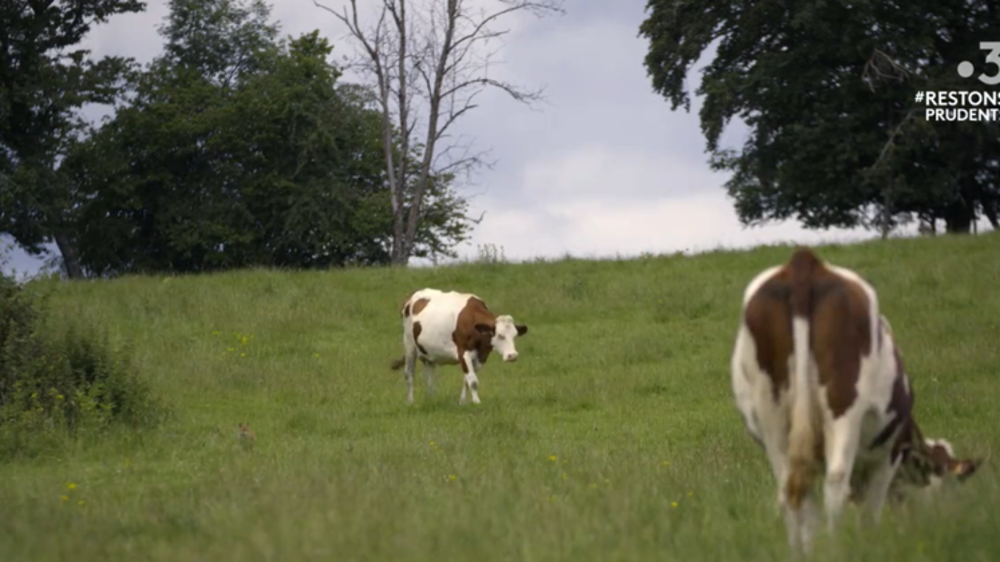 France Télévisions a un rôle à jouer dans la mise en valeur de l’agriculture, estime Yannick Letranchant, directeur des opérations spéciales de l’information et des antennes du groupe. © France Télévisions
