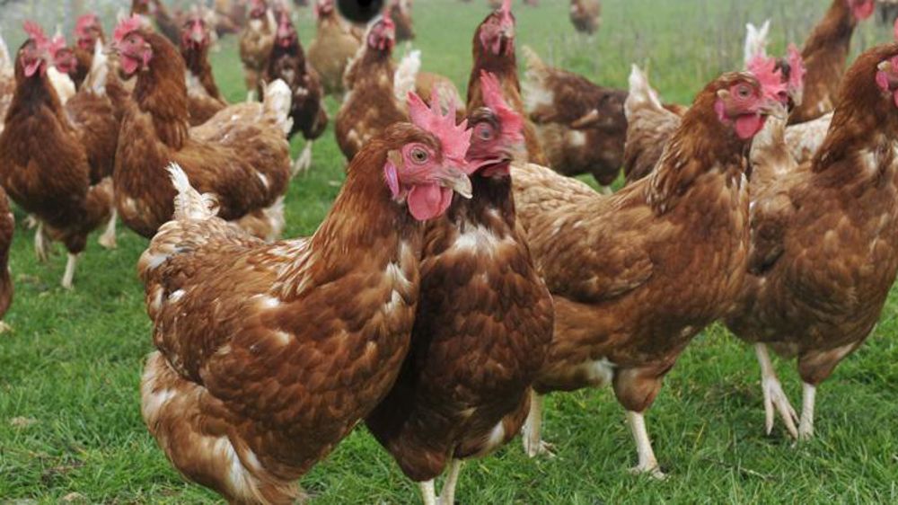 ©  Cédric Faimali/GFA