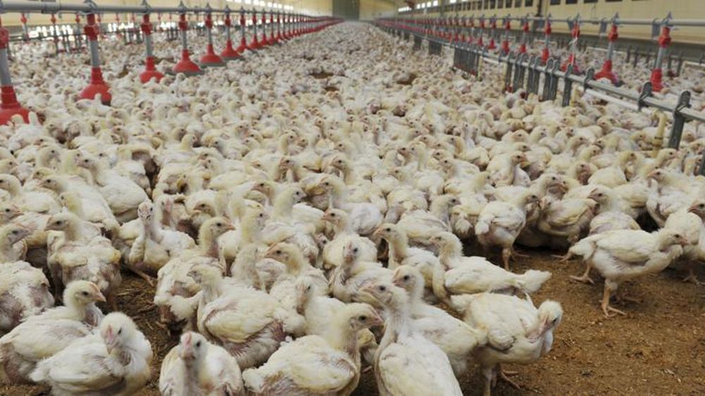 © Cédric Faimali/GFA