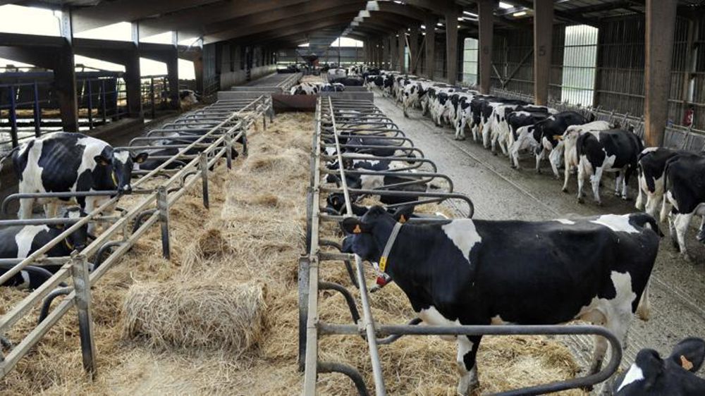 © Cédric Faimali/GFA